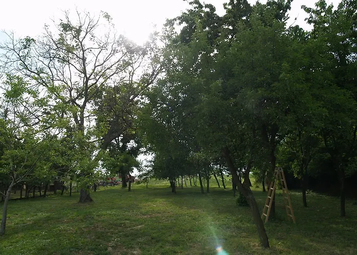 Pannonia Terranova