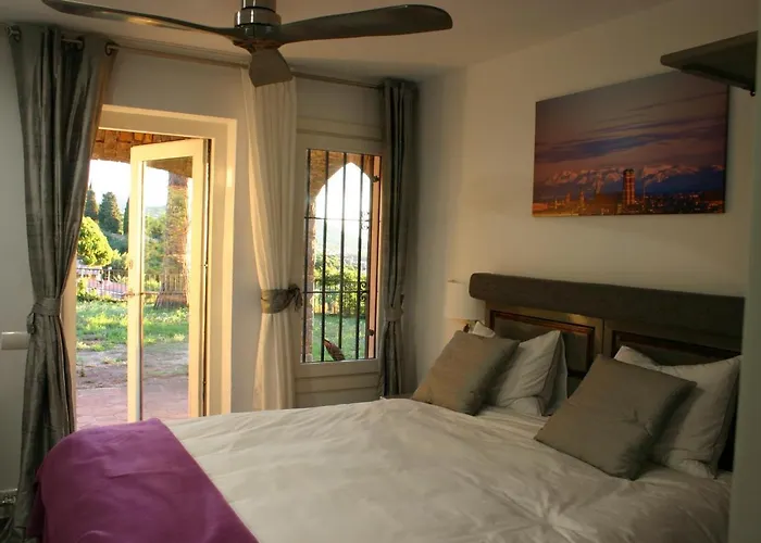 B&B Premium