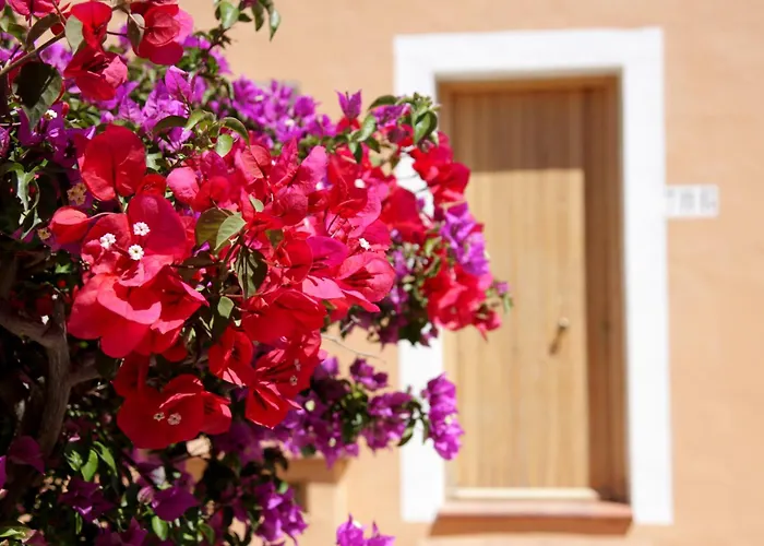 Th Costa Rei - Free Beach Resort