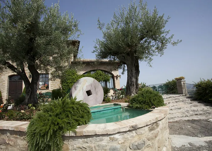 Il Poggio Degli Olivi