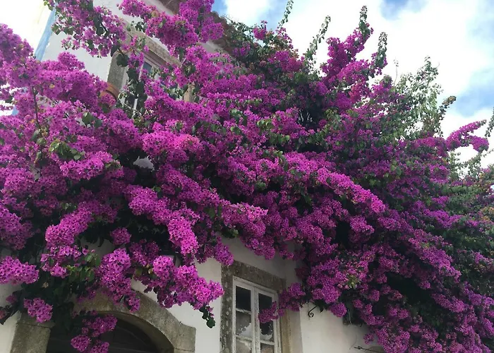 Casa Lagoa