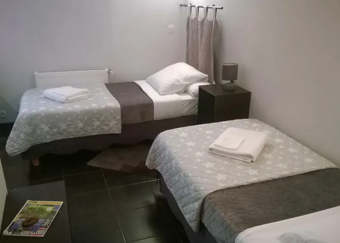 Chambres D'Hotes La Maison Des Chiens Verts