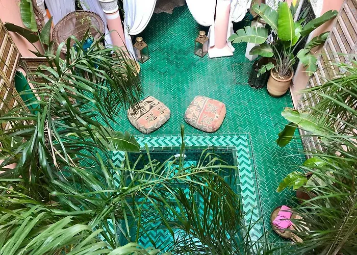 The Bohemian Jungle