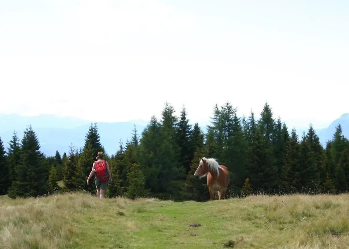 Panoramapension Etschblick