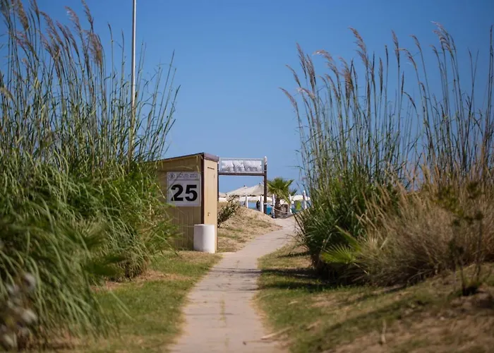 Finbaja Resort